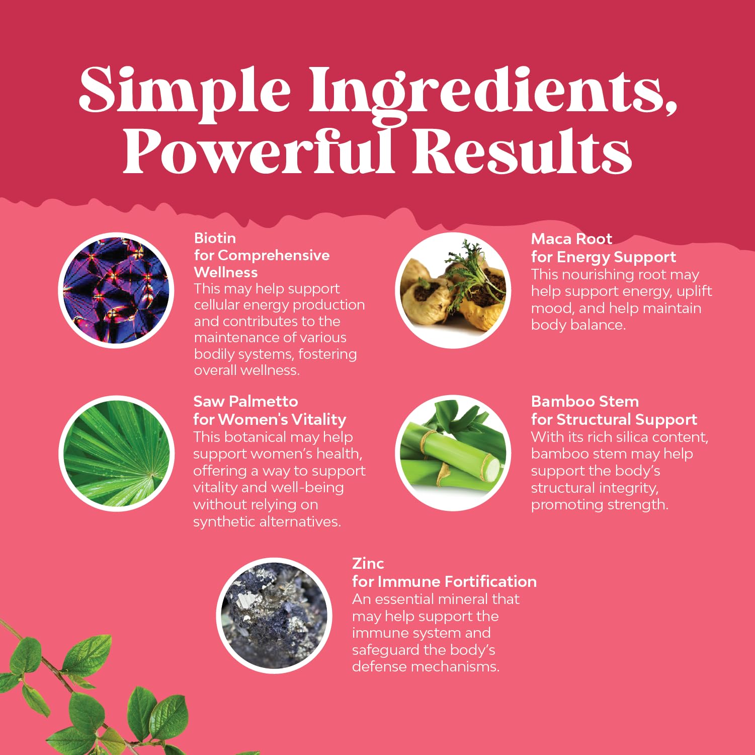 Natures Craft etiqueta informativa con ingredientes y dosis visibles