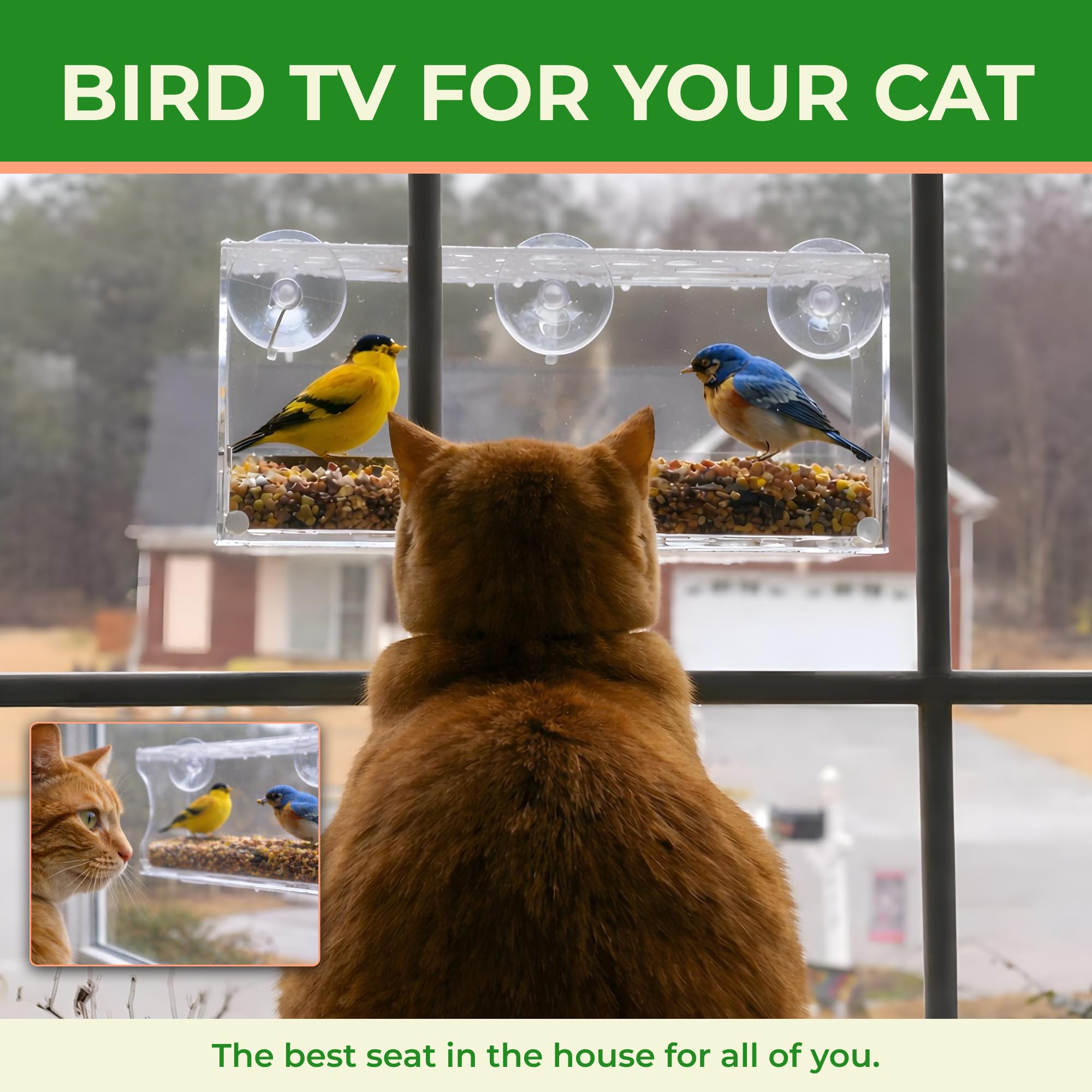 Nature's Hangout open packaging showing included suction cups and extras benefit