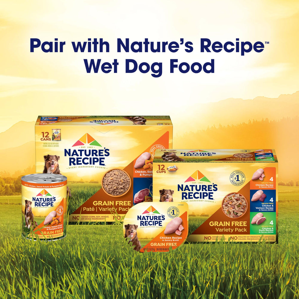 Nature's Recipe pumpkin ingredient close-up supporting digestion