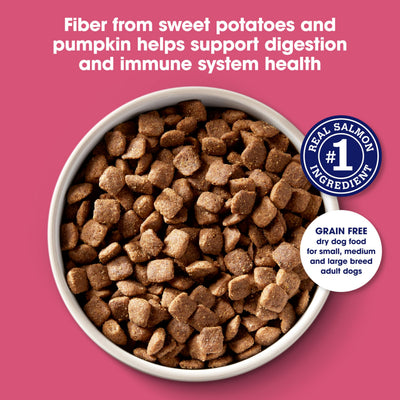 Nature's Recipe kibble next to a measuring cup showing portion size