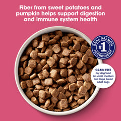 Nature's Recipe kibble next to a measuring cup showing portion size