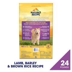 Nature's Recipe kibble close-up highlighting texture and quality