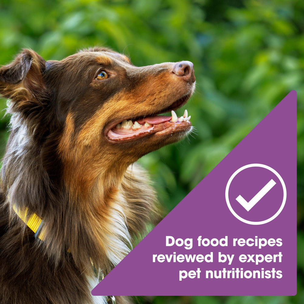 Nature's Recipe kibble next to a hand for size comparison benefit
