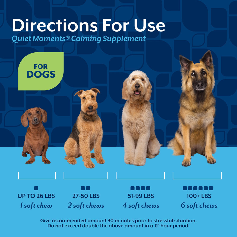 NaturVet relaxed dog on couch illustrating calm behavior benefit