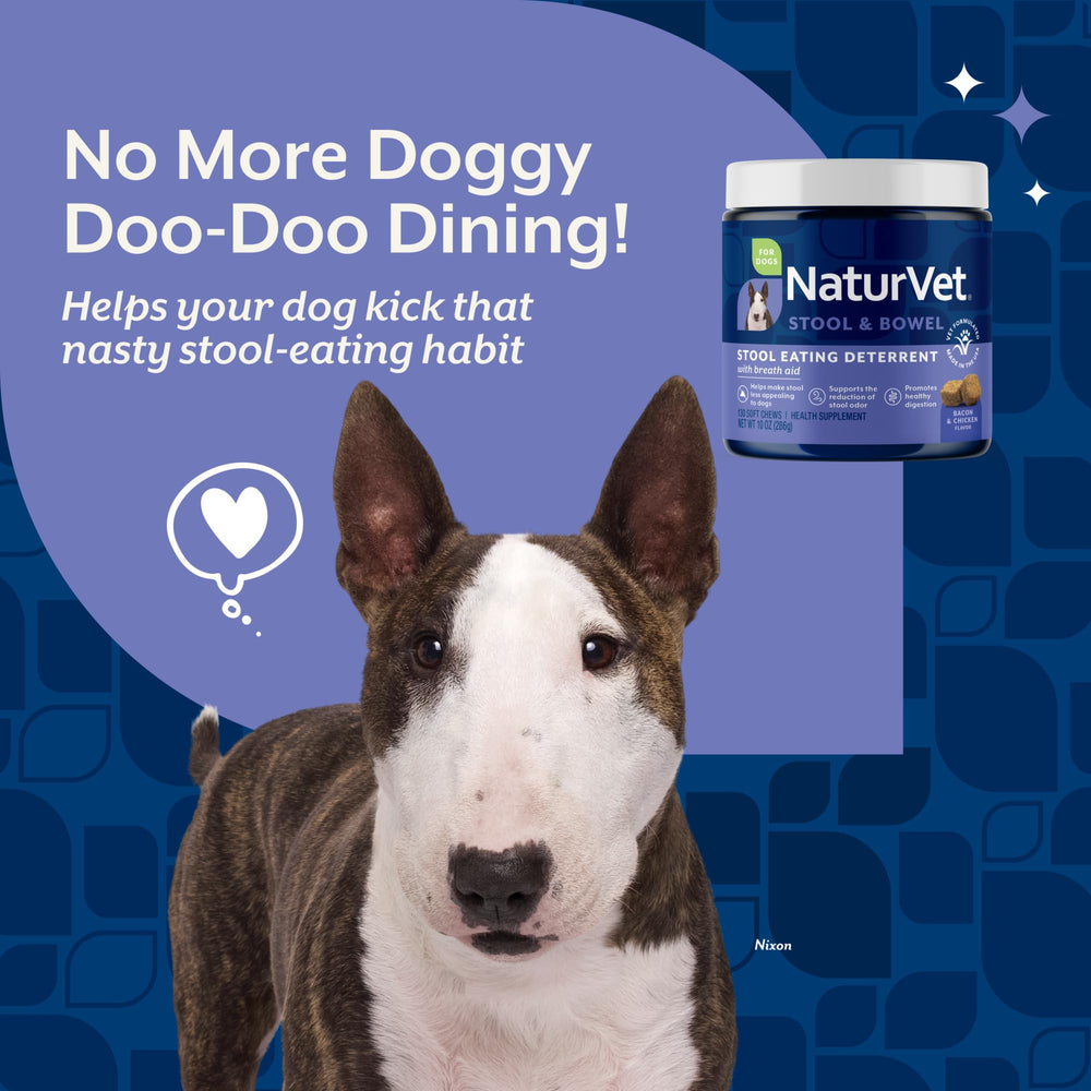 NaturVet perro recibiendo masticable en mano, comprobación de uso