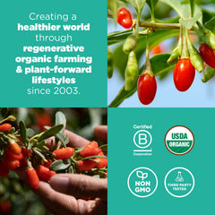 Navitas Organics bayas de goji mezcladas en trail mix para snack nutritivo y portátil