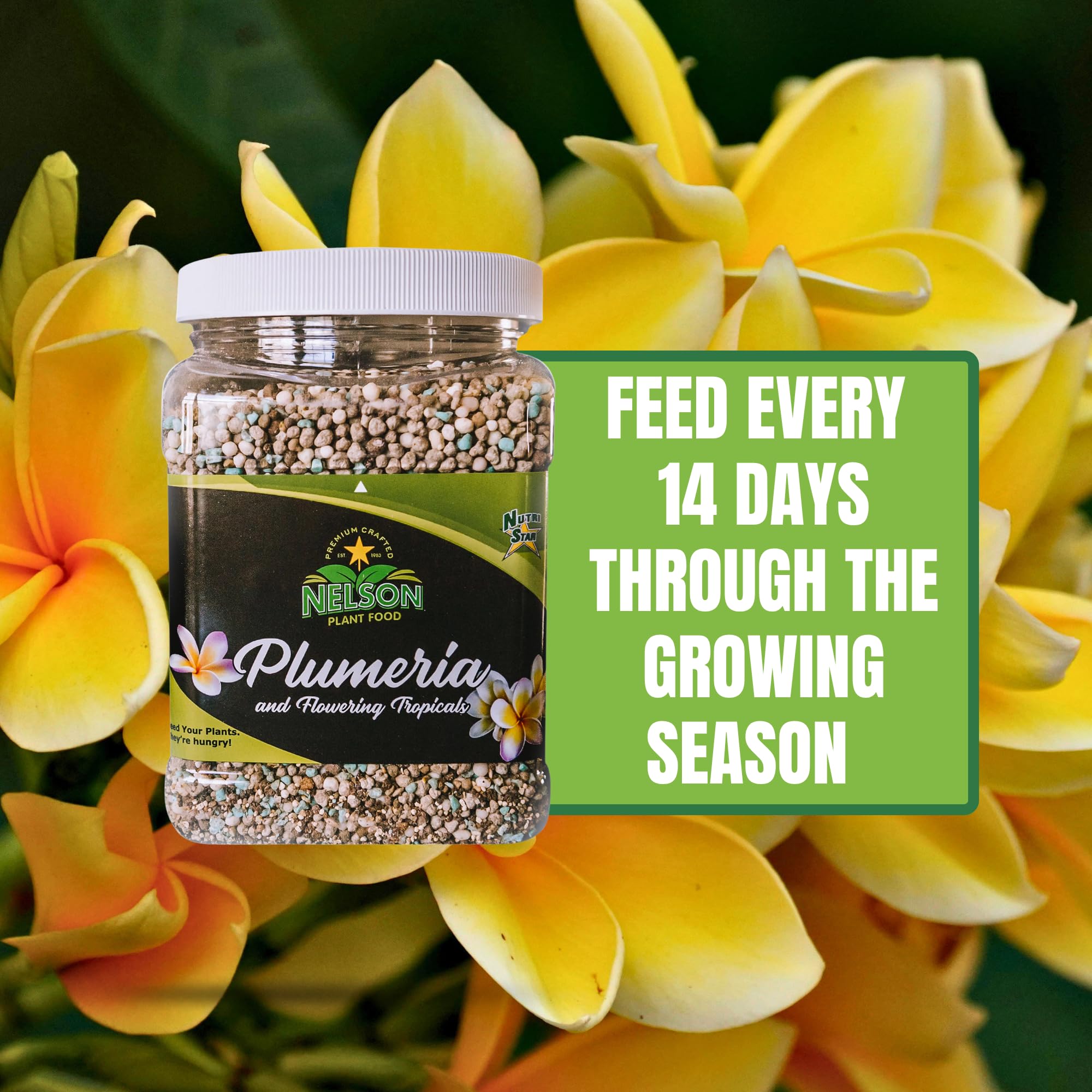 Nelson in-ground application around plumeria showing stronger flowering performance