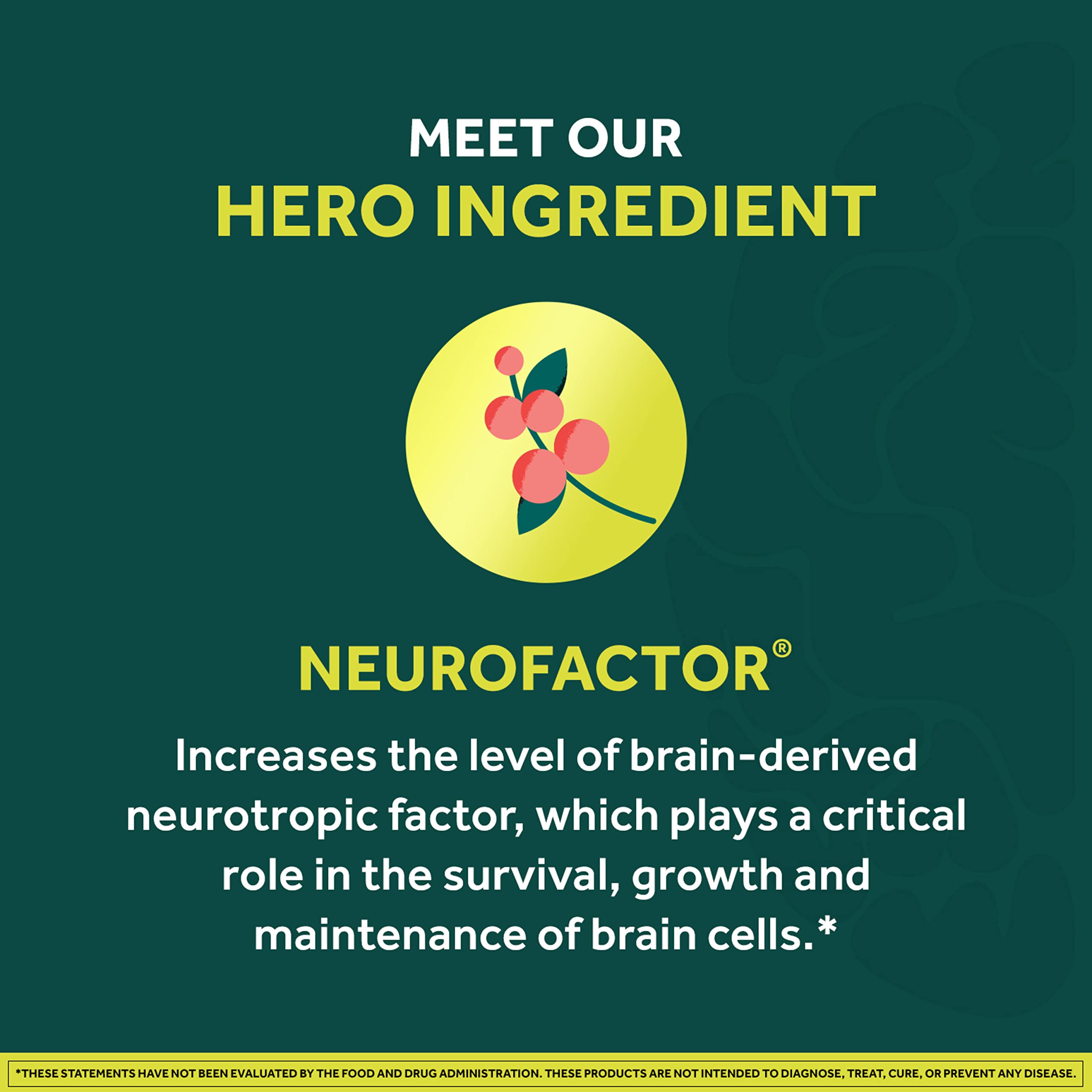 NEURIVA Neurofactor ingrediente principal y su aporte para concentración
