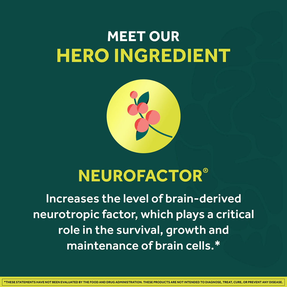 NEURIVA Neurofactor ingrediente principal y su aporte para concentración