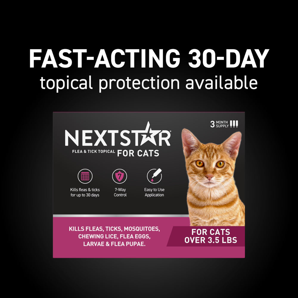 NextStar aplicador detalle listo para una aplicación limpia y segura