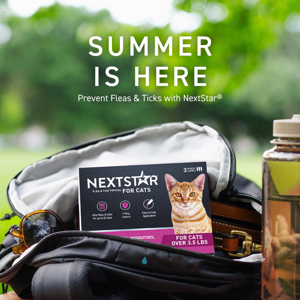NextStar empaque lateral con información de duración y beneficios