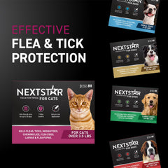 NextStar aplicado en gato demostrando uso sencillo mensual