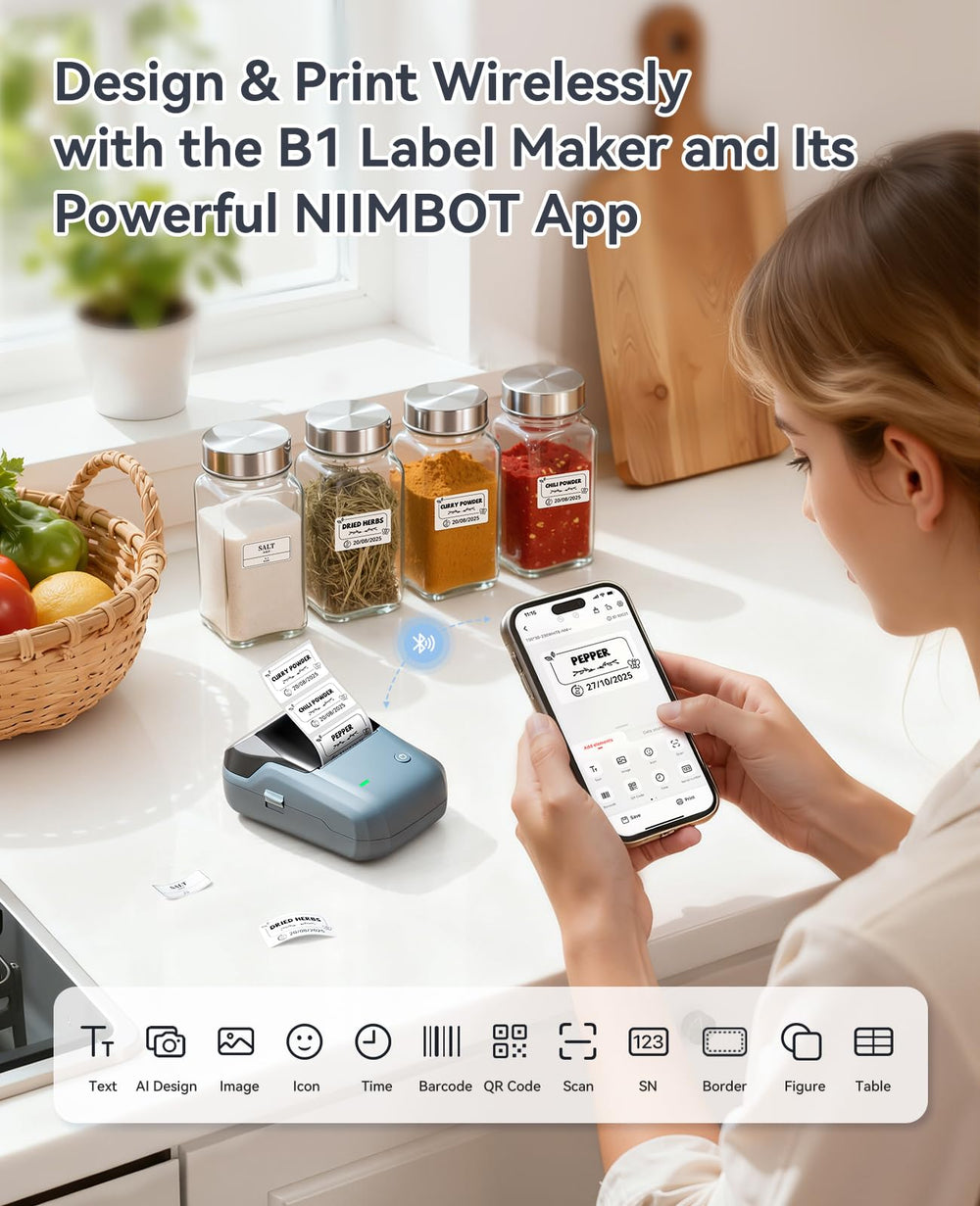 NIIMBOT B1 held in a hand to show compact size and easy transport benefit