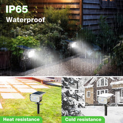 nipify nighttime garden spotlight effect highlighting plants and pathway safety