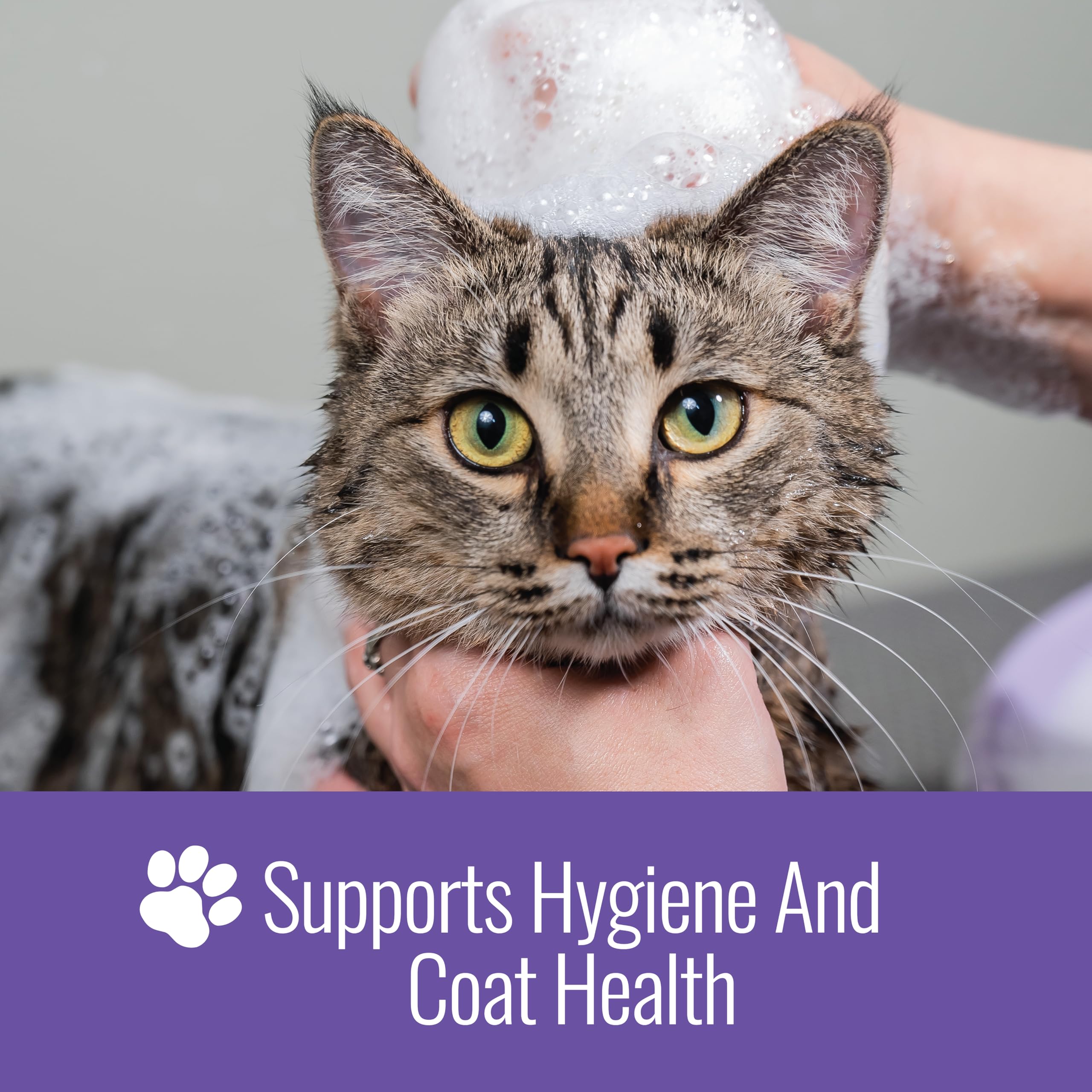 Nizoral en mano para comparar tamaño y facilidad de manejo