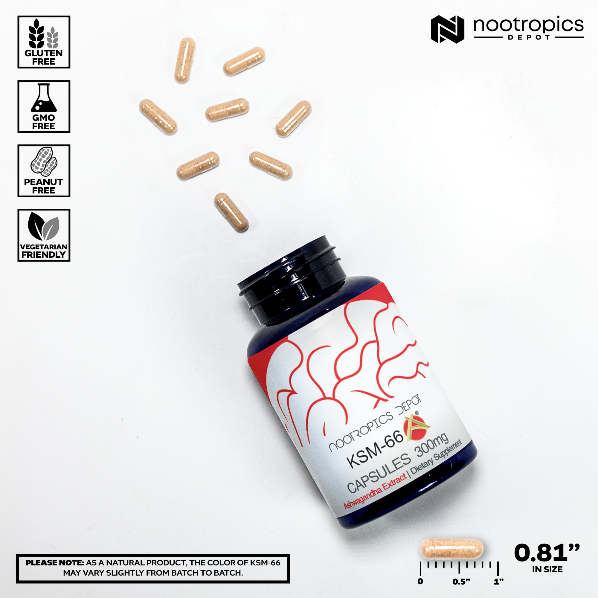 Nootropics Depot cápsulas en mano para comparar tamaño y dosificación práctica