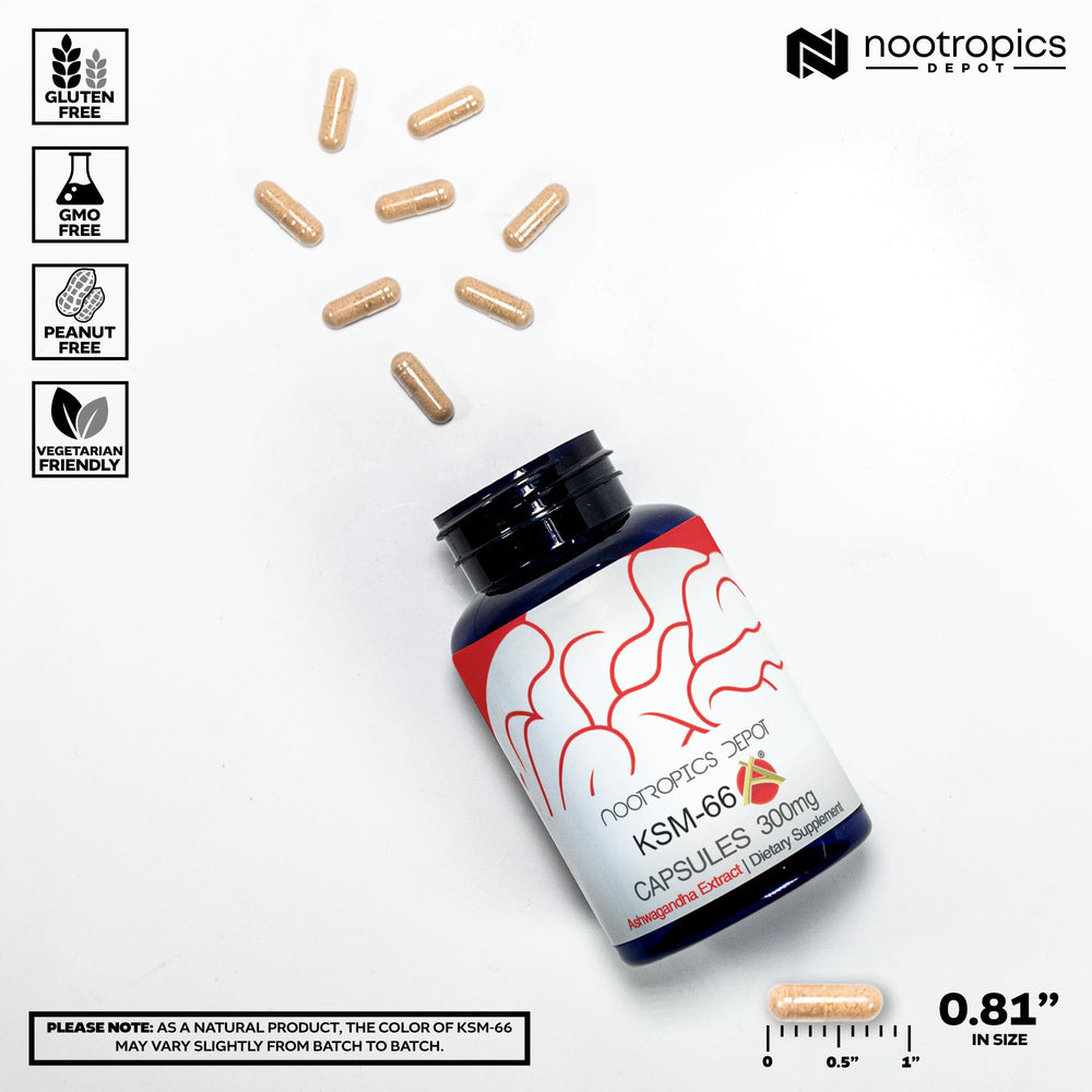 Nootropics Depot cápsulas en mano para comparar tamaño y dosificación práctica