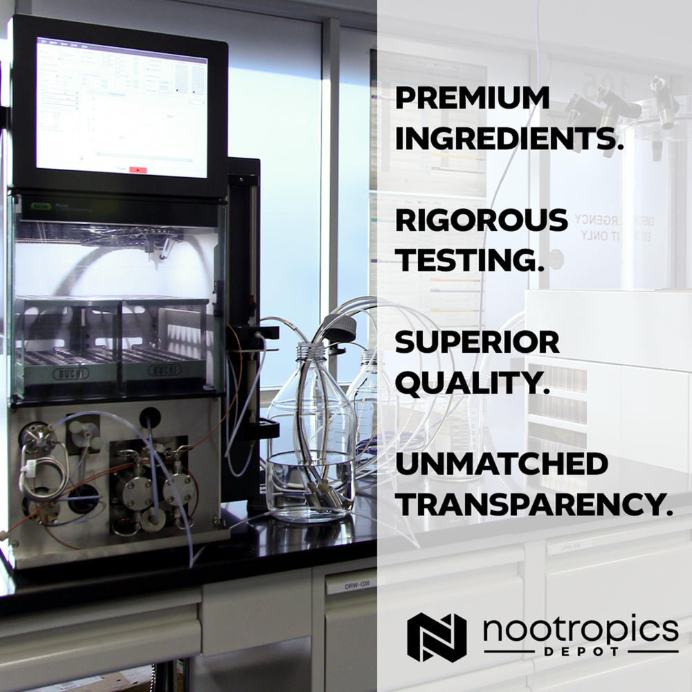 Nootropics Depot en escena de entrenamiento simbolizando energía y enfoque