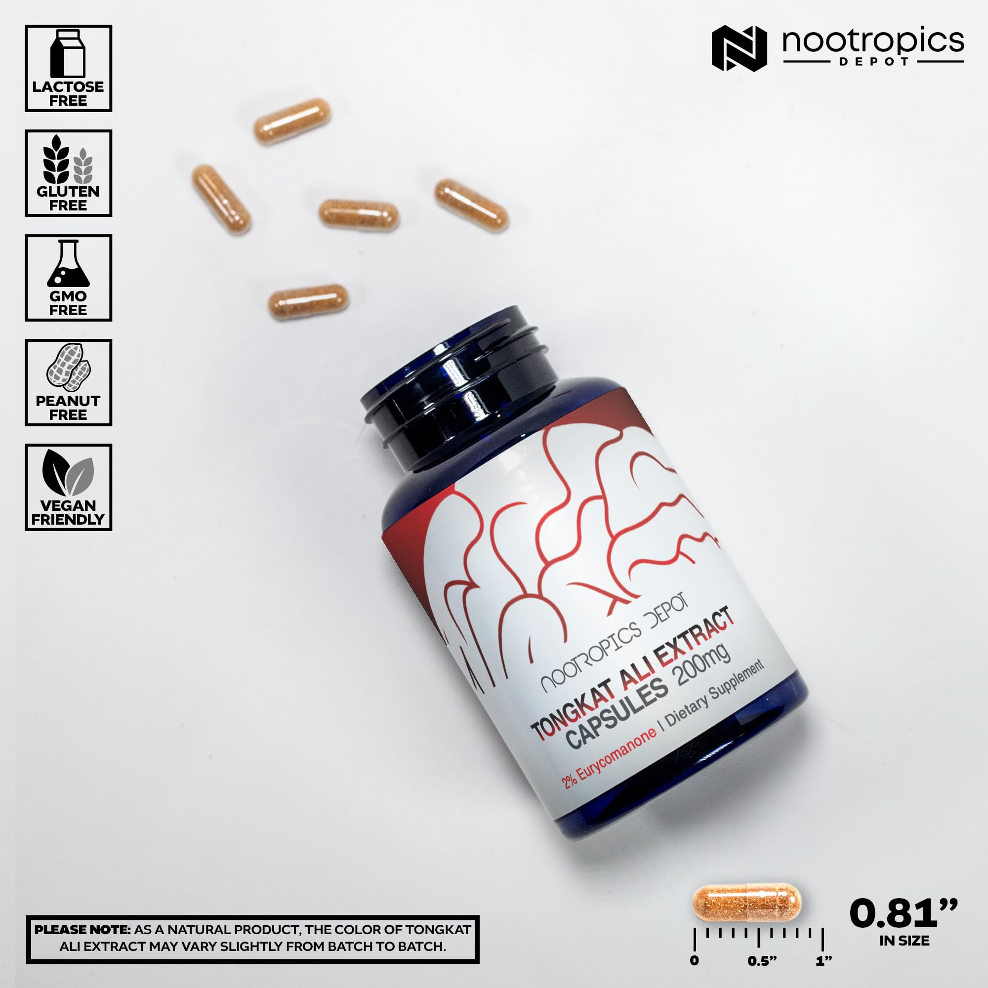 Nootropics Depot polvo de raíz de Tongkat Ali mostrando pureza y textura