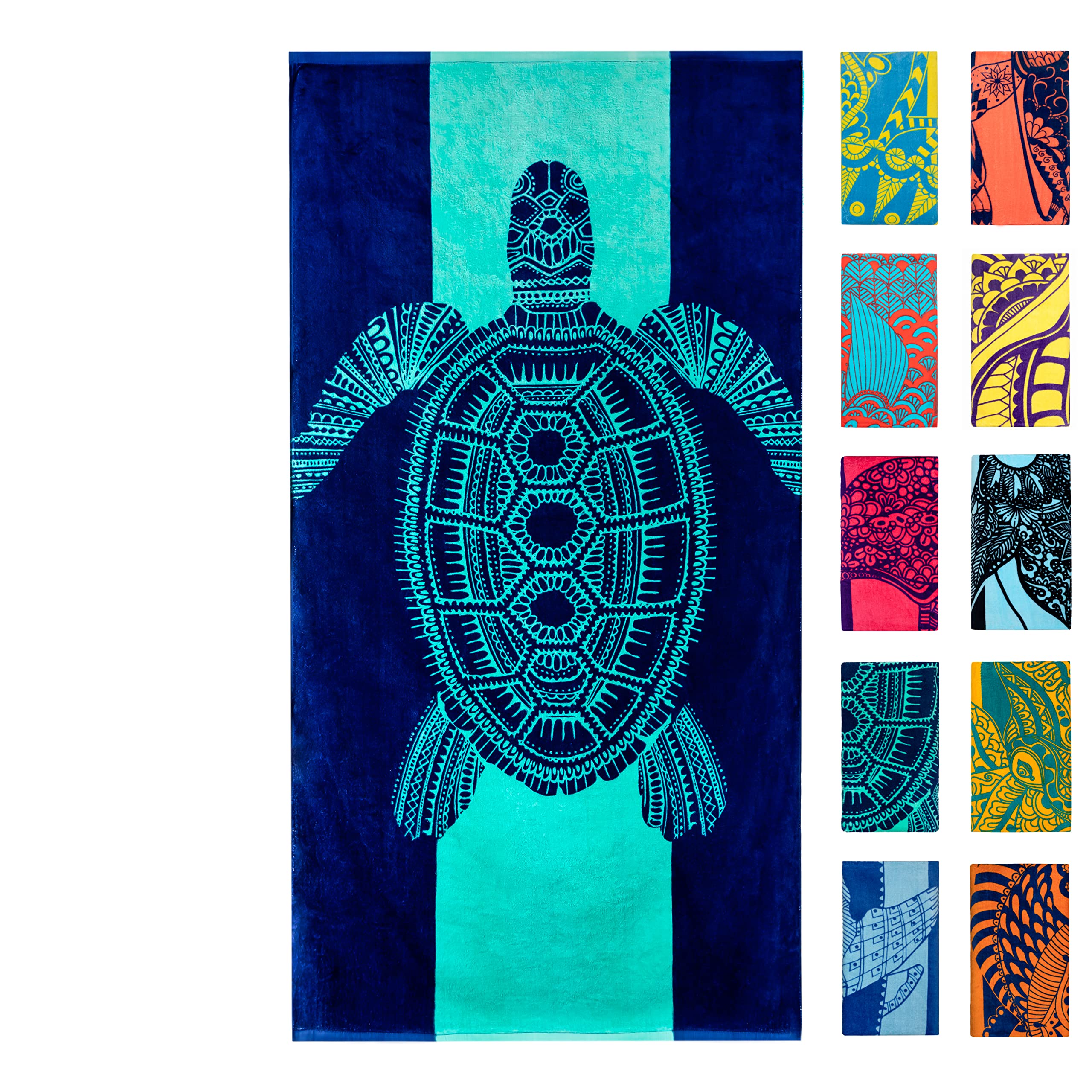 Nova Blue front view showing turtle design and vibrant colors for easy spotting