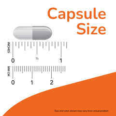 NOW Foods capsule next to a coin for scale demonstrating easy swallowing