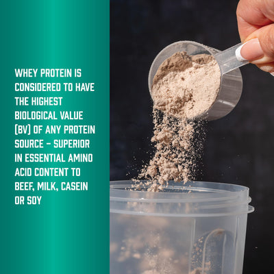 NOW Foods protein in kitchen setting blended into smoothie showing everyday versatility
