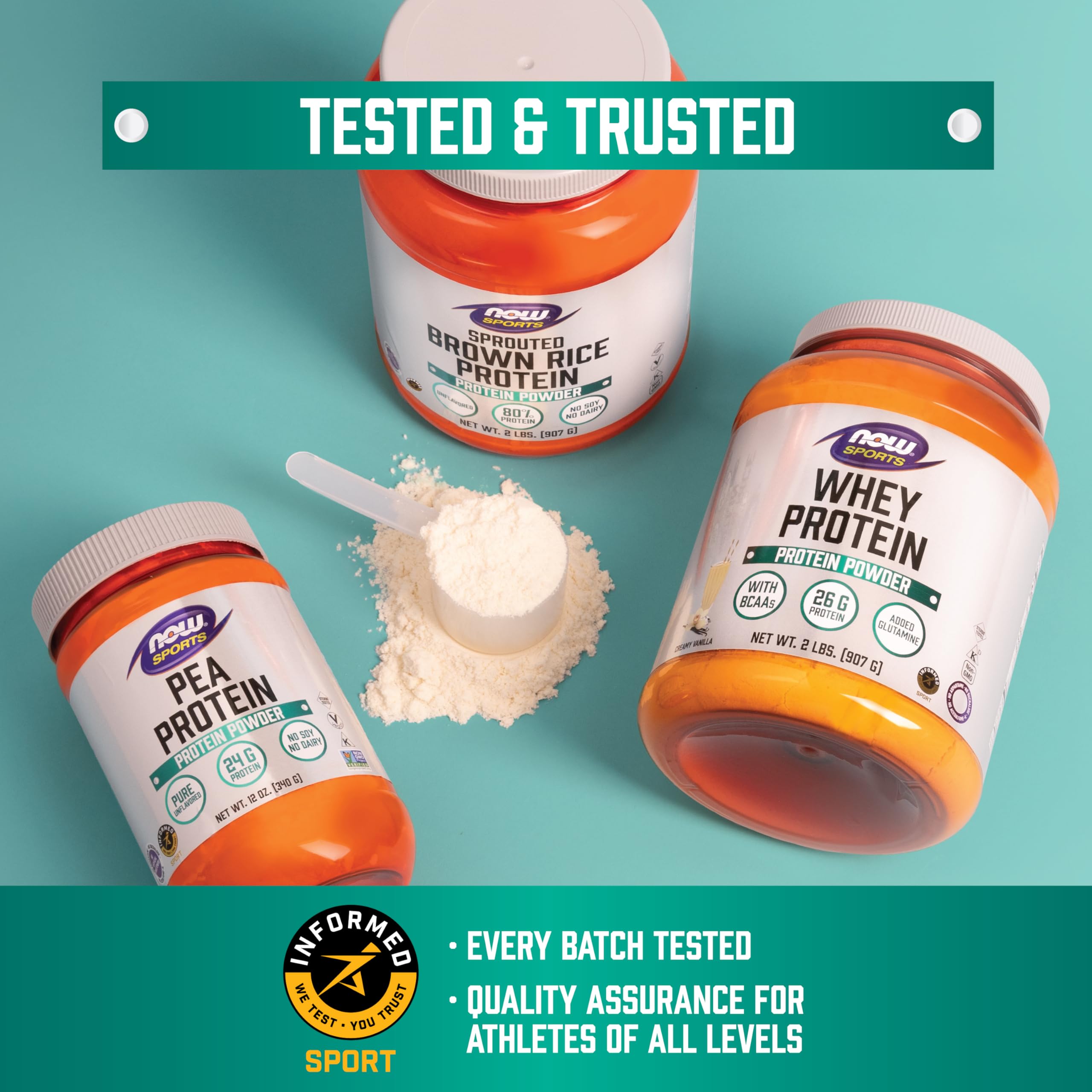 Comparación de tamaño del frasco NOW Foods Whey Protein Isolate en mano