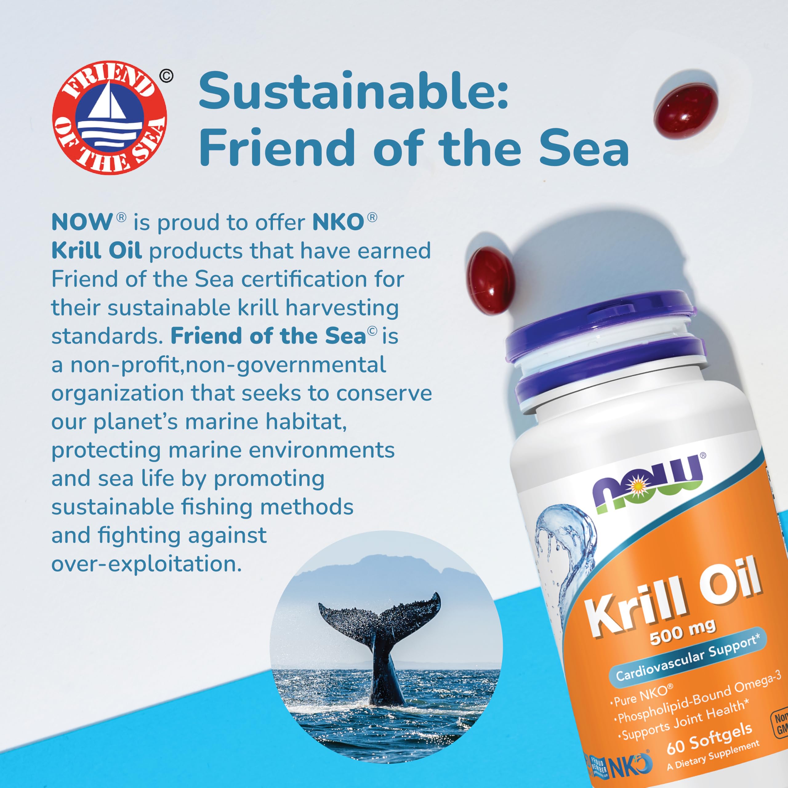 NOW Krill Oil comparación con moneda que muestra escala y dosis por cápsula