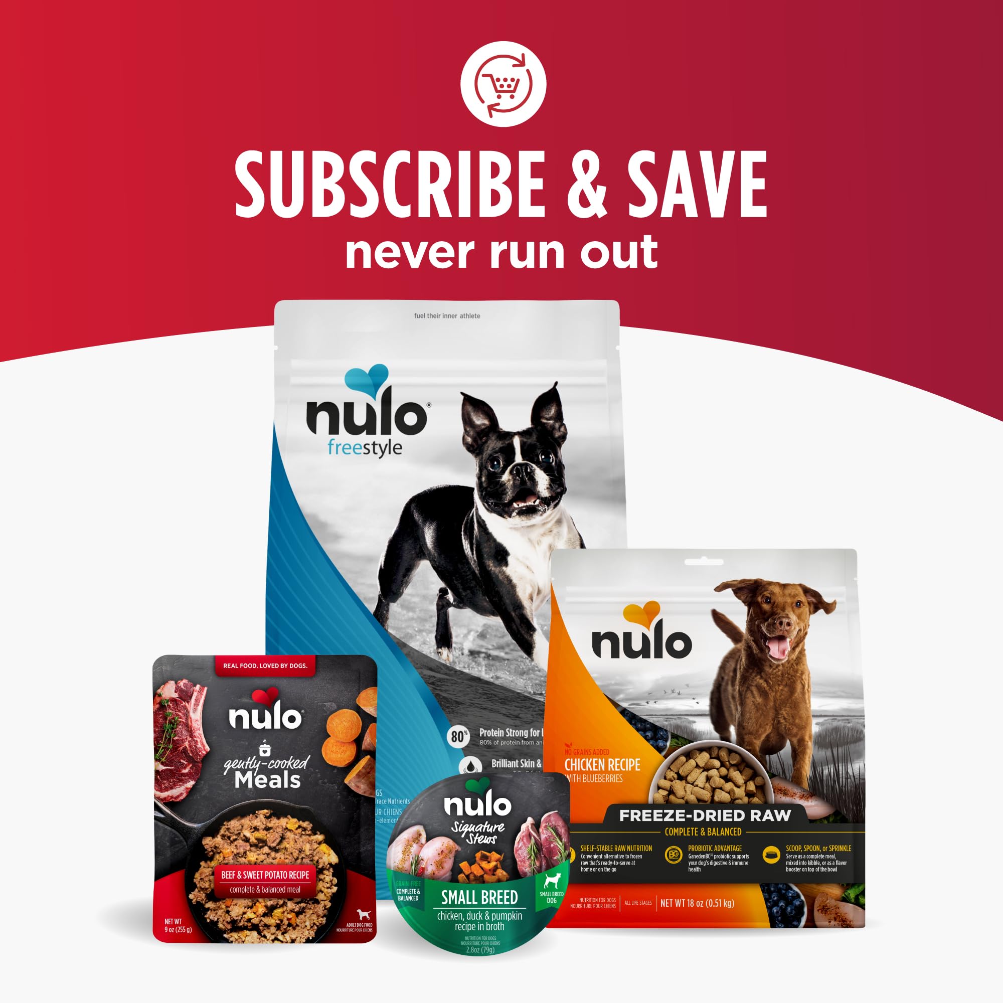 Nulo producto en ambiente doméstico con perro disfrutando la comida