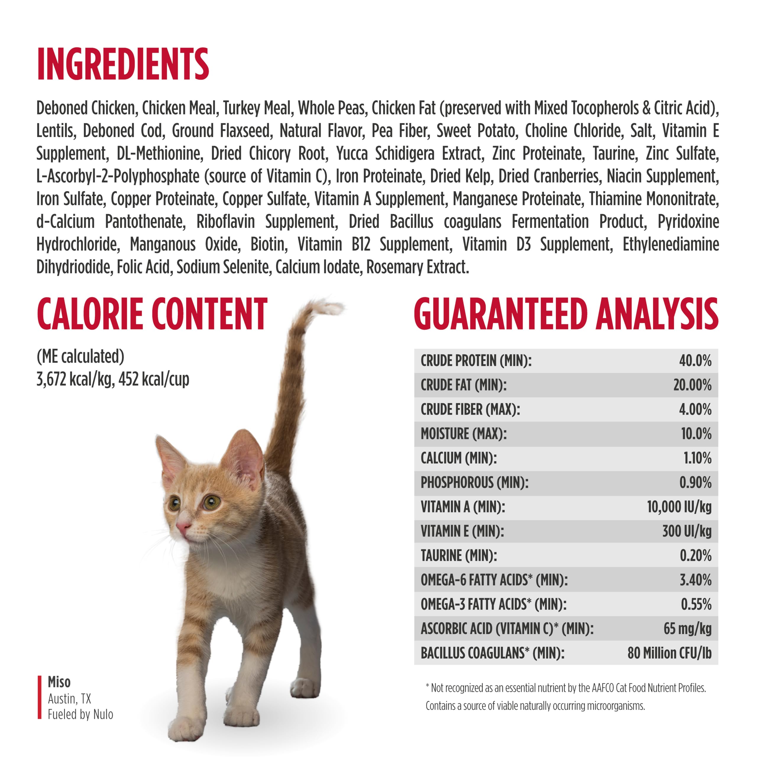 Nulo gato con pelaje brillante que ilustra beneficios de omega para piel y pelo
