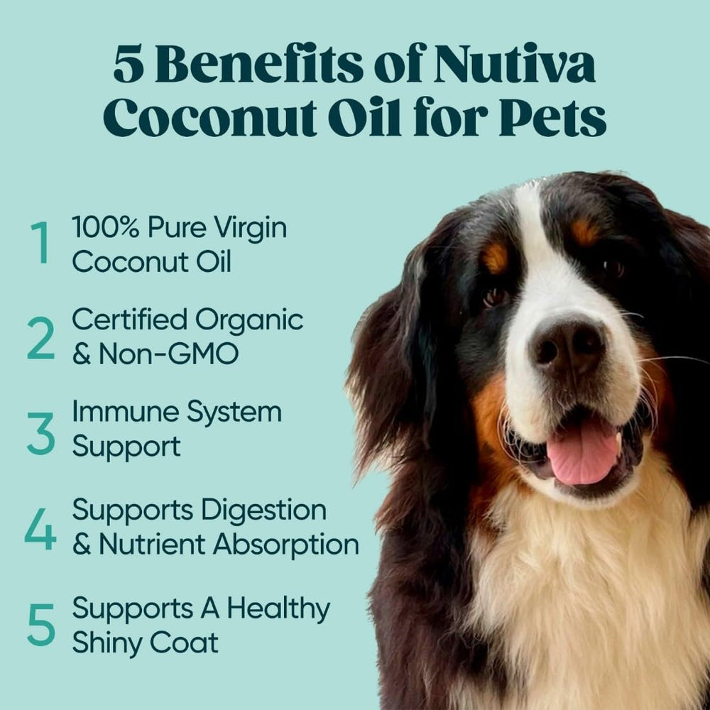 Organic coconut farm scene for Nutiva, underlining sustainable sourcing and farmer partnership