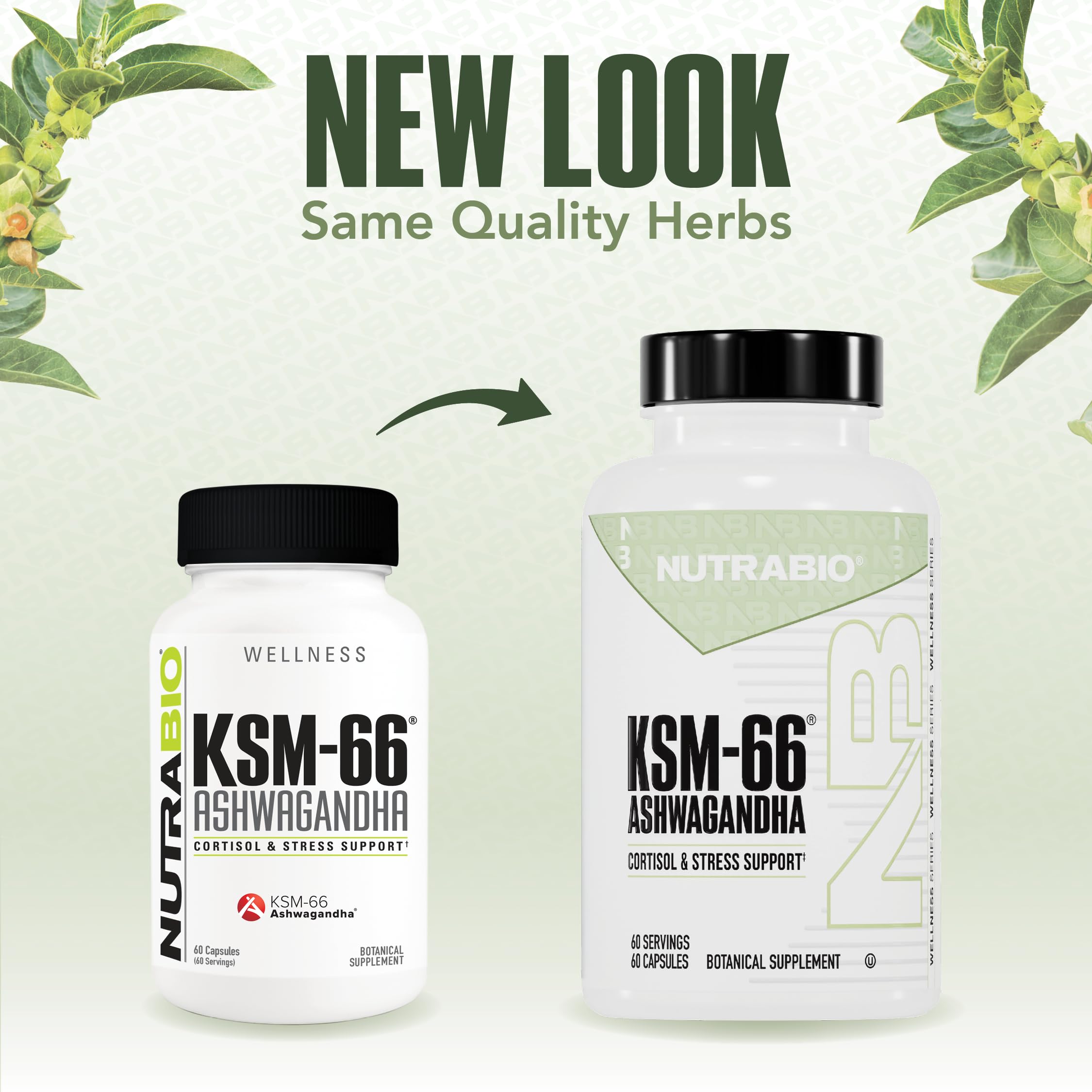NutraBio caja abierta que muestra las 60 cápsulas por envase