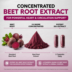 NUTRAHARMONY polvo interior de cápsula evidenciando concentración