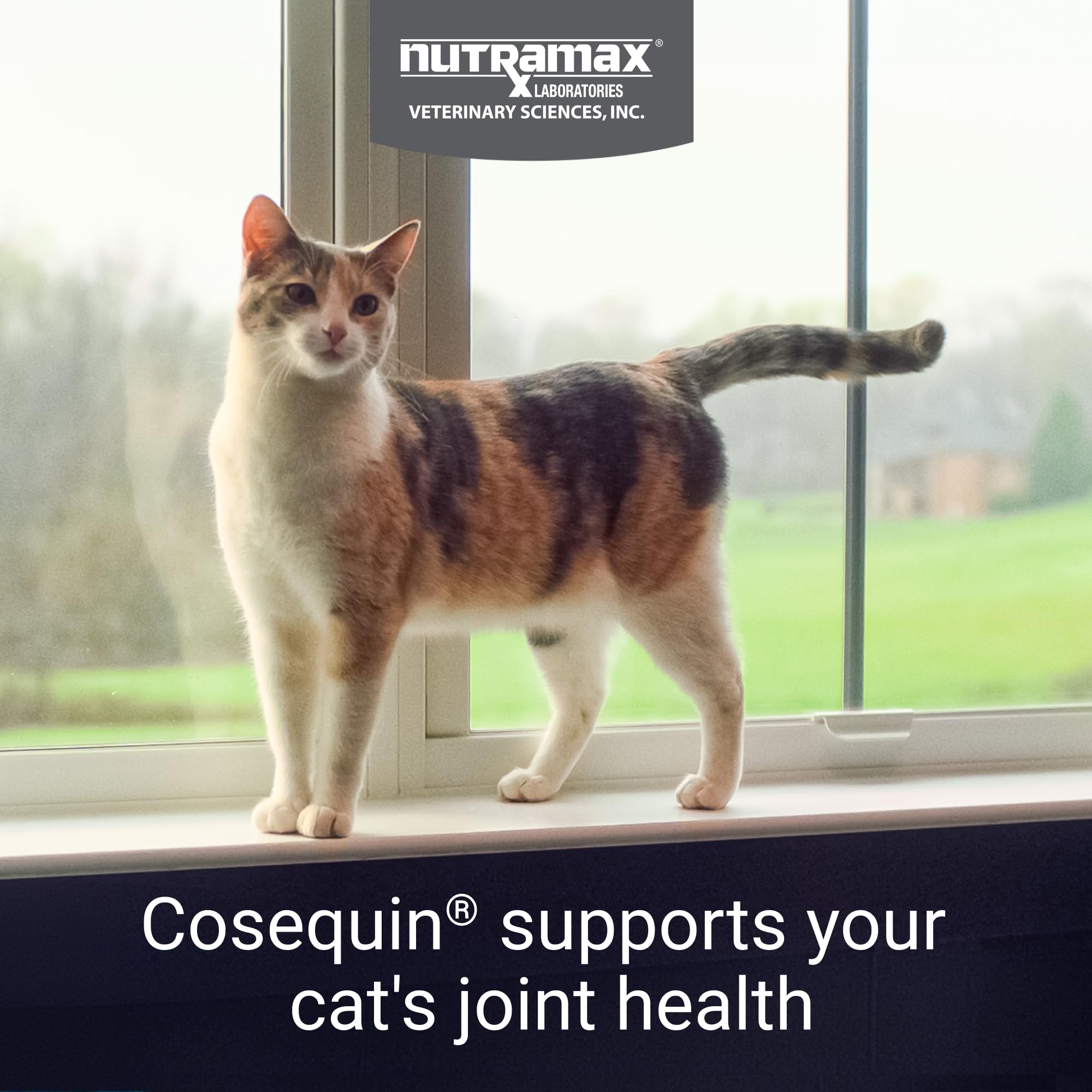 Nutramax Cosequin cápsulas detalle para dosificación precisa y fácil