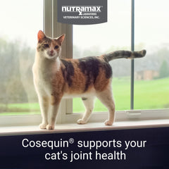 Nutramax Cosequin cápsulas detalle para dosificación precisa y fácil