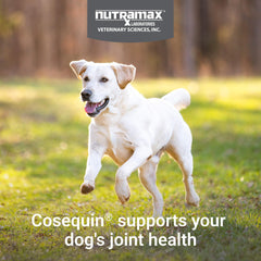 Cosequin comprimido masticable en primer plano con aspecto apetecible