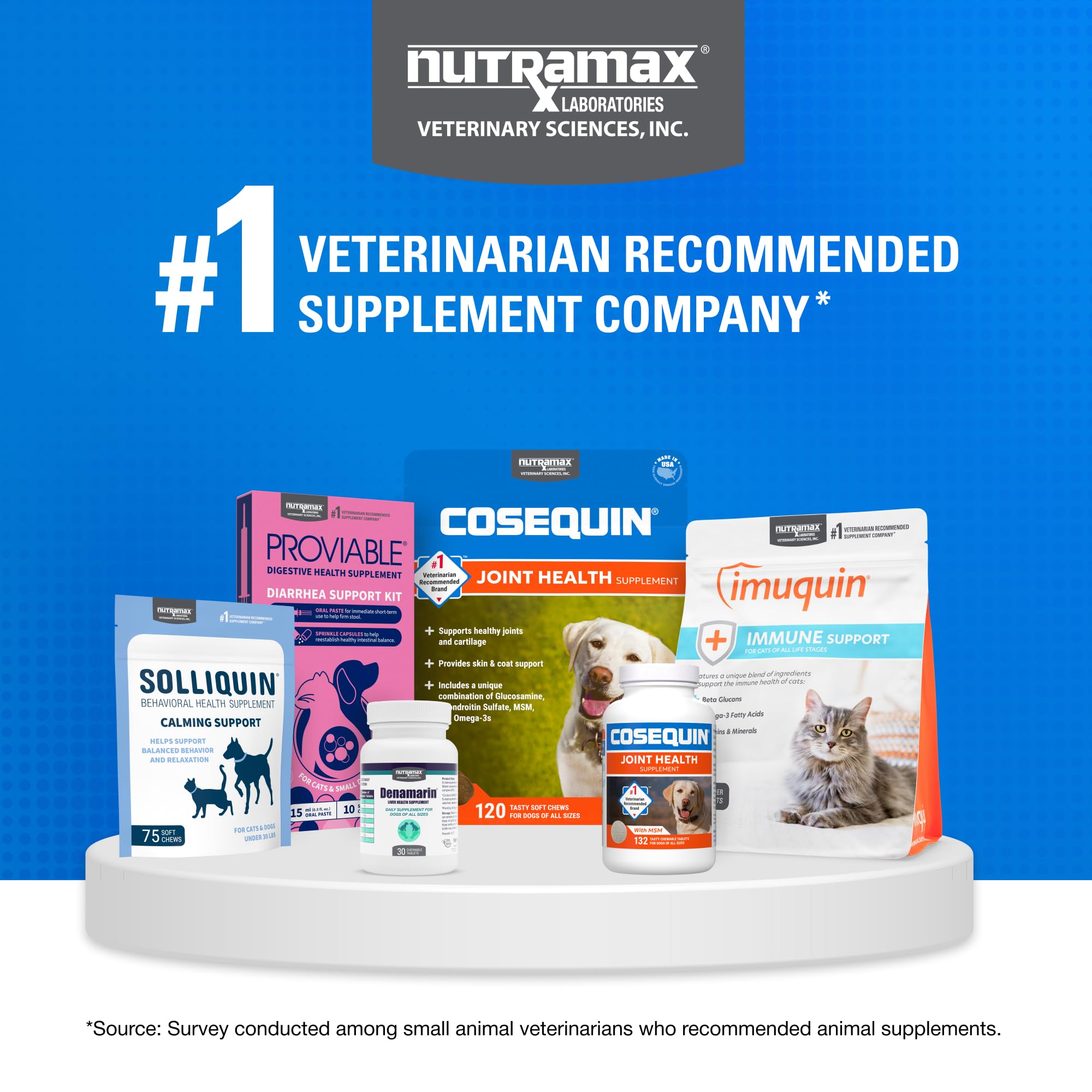 Nutramax Cosequin estilo de vida gato jugando mejor movilidad y energía