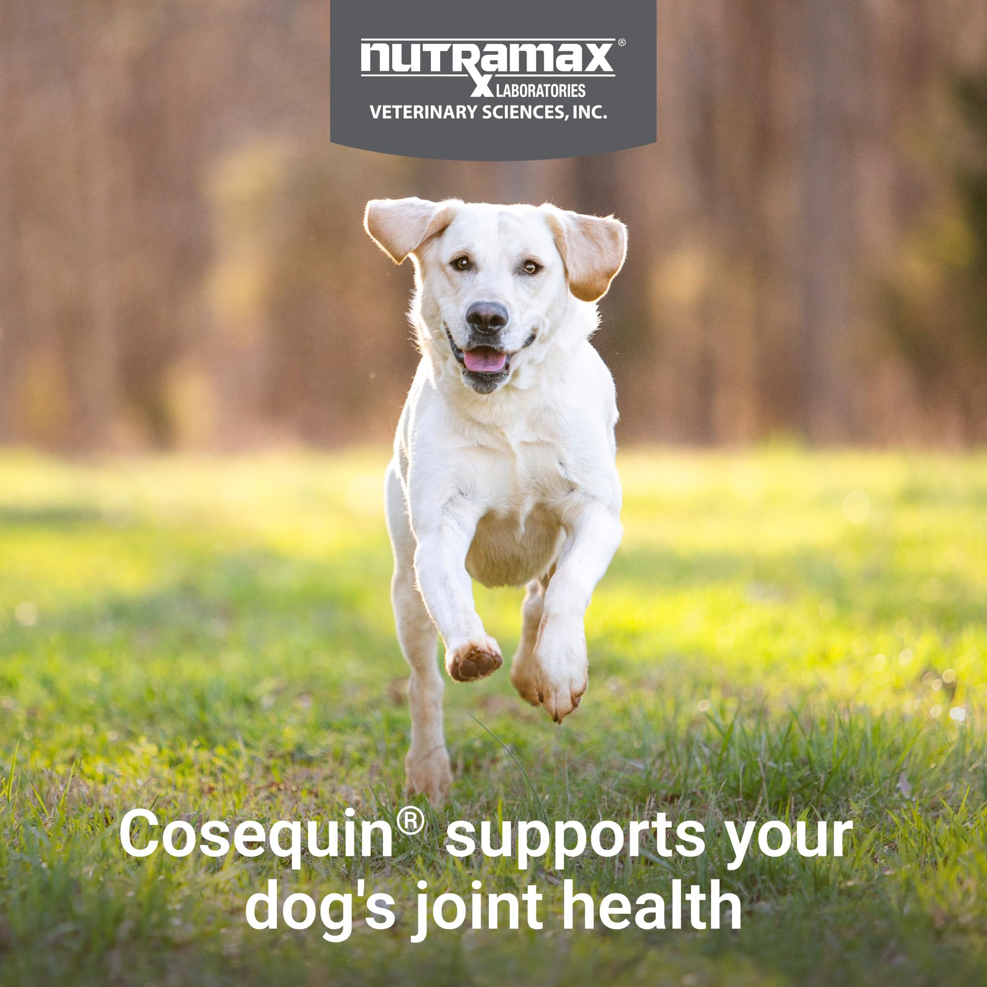 Nutramax Cosequin ingredientes listados resaltando glucosamina, condroitina y omega-3