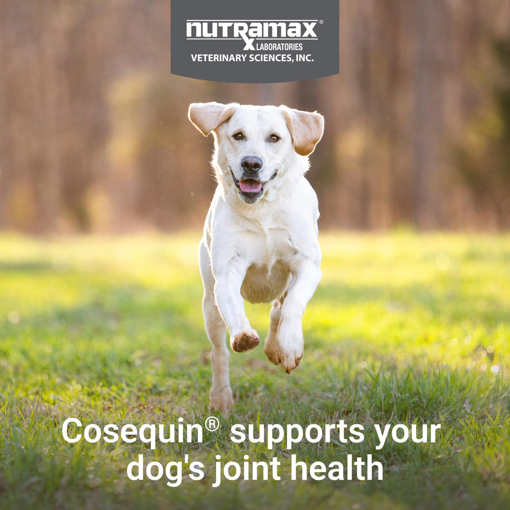 Nutramax Cosequin ingredientes listados resaltando glucosamina, condroitina y omega-3