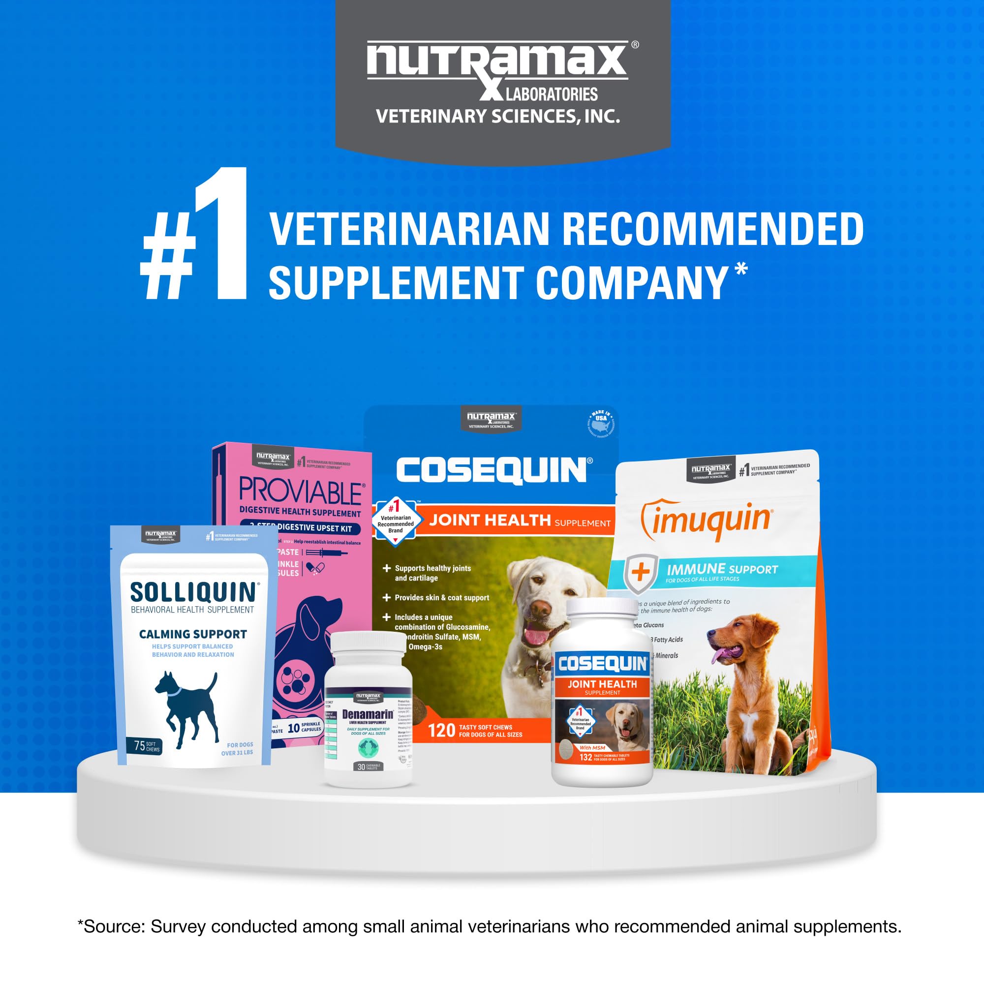 Nutramax Cosequin lifestyle image with senior dog on walk showing mobility support