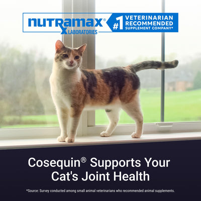 NutraMax Cosequin powder sprinkled on cat food for easy administration