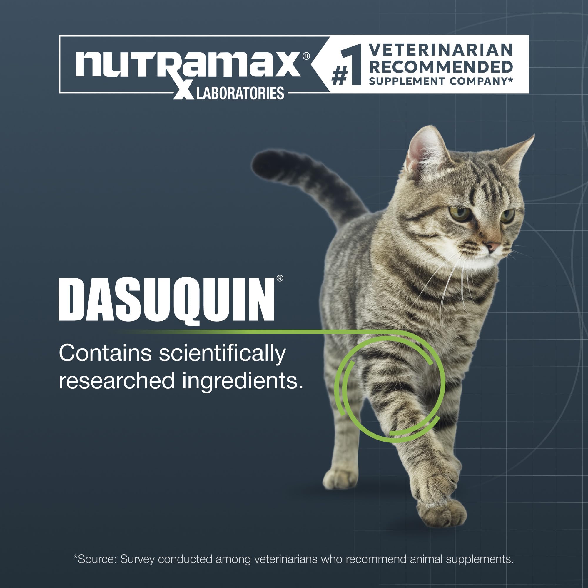 Nutramax Dasuquin capsule close-up highlighting capsule texture