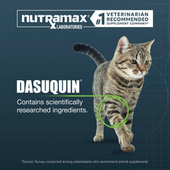 Nutramax Dasuquin capsule close-up highlighting capsule texture