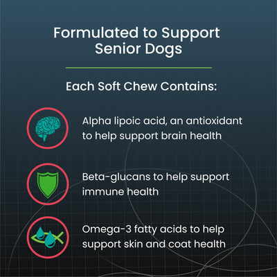 Nutramax Dasuquin chew in hand showing large-dog portion and convenient dosing