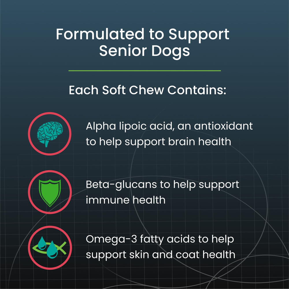 Nutramax Dasuquin chew in hand showing large-dog portion and convenient dosing