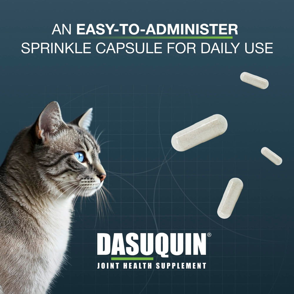 Nutramax Dasuquin product label details ingredients and dosing