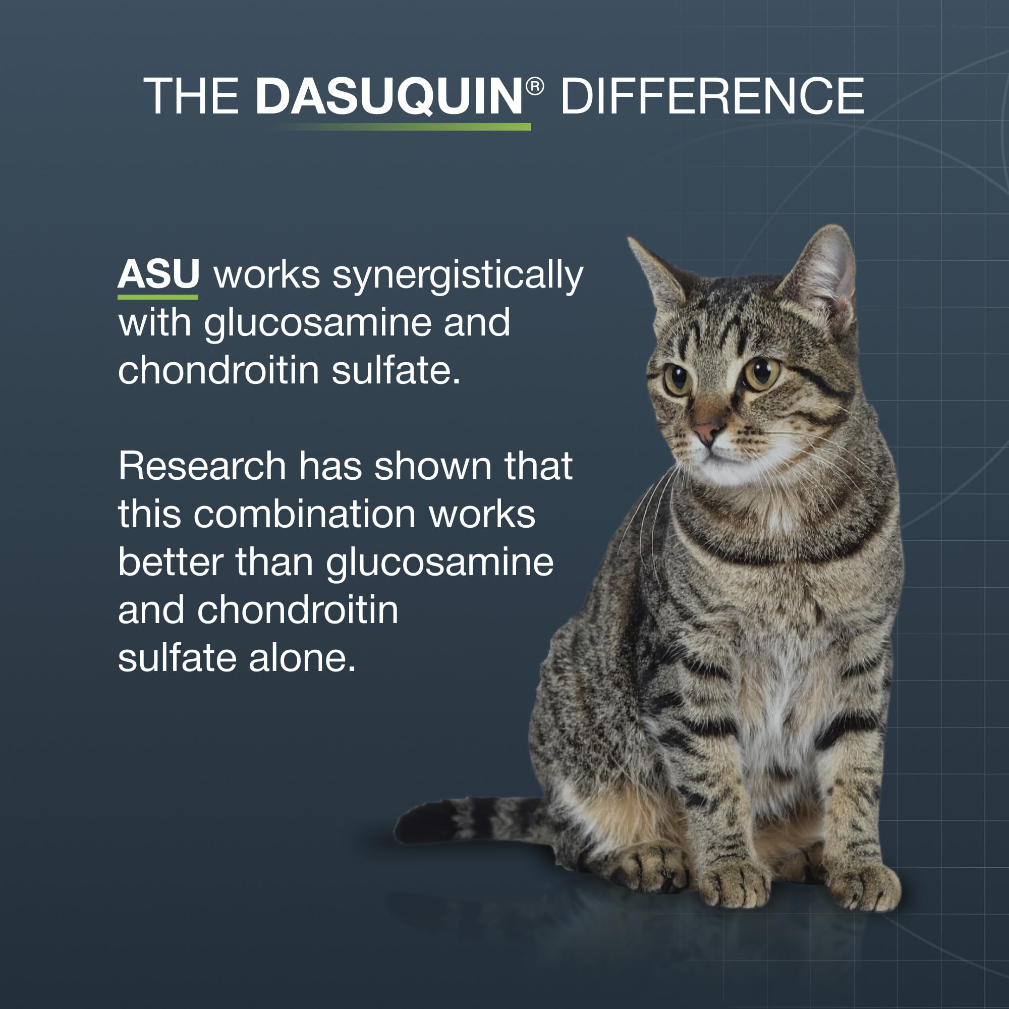 Nutramax Dasuquin capsules mixed in cat food for simple administration