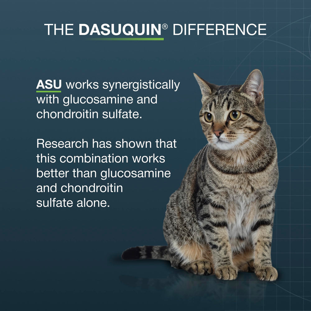 Nutramax Dasuquin capsules mixed in cat food for simple administration