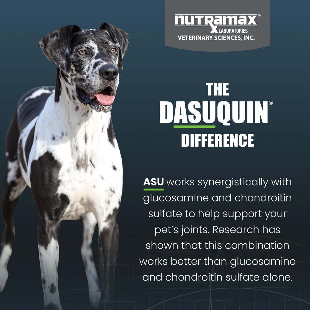 Nutramax Dasuquin MSM perro tomando suplemento para mayor movilidad