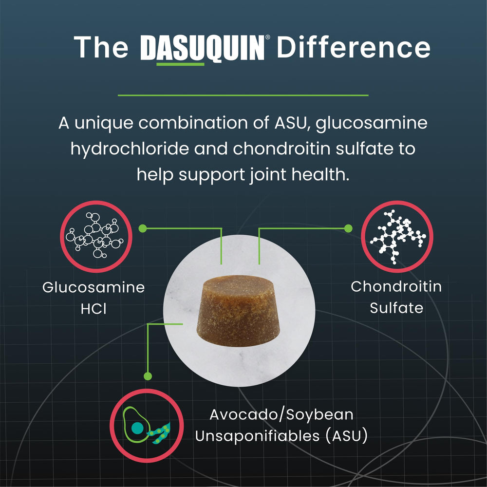 Nutramax Dasuquin soft chew close-up texture highlighting palatable chewability